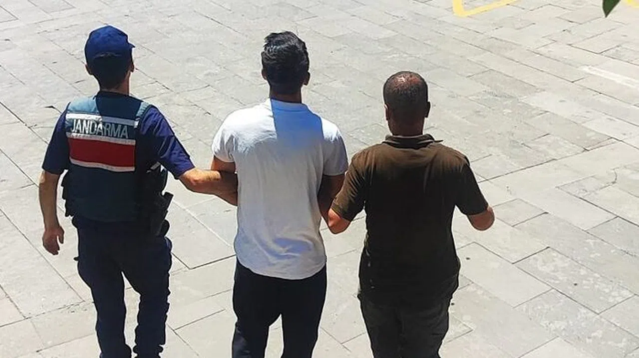 Şaka uğruna ormanı yakmış: O şahıs tutuklandı