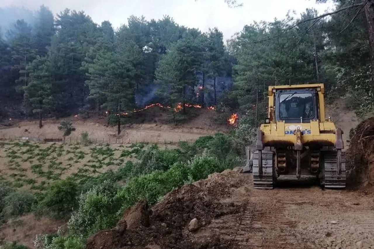Fırnız’daki orman yangını kontrol altına alındı