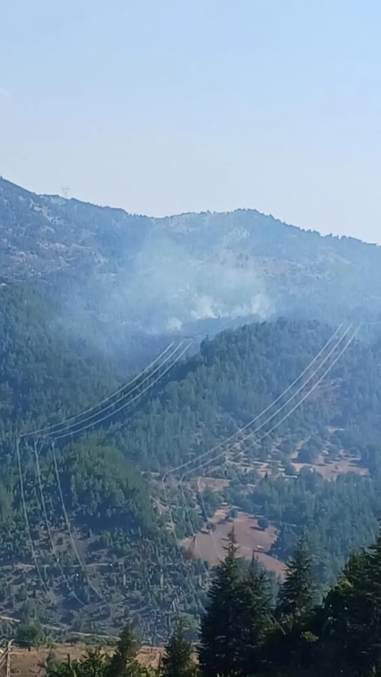 Orman yangınına müdahale eden helikopter düştü