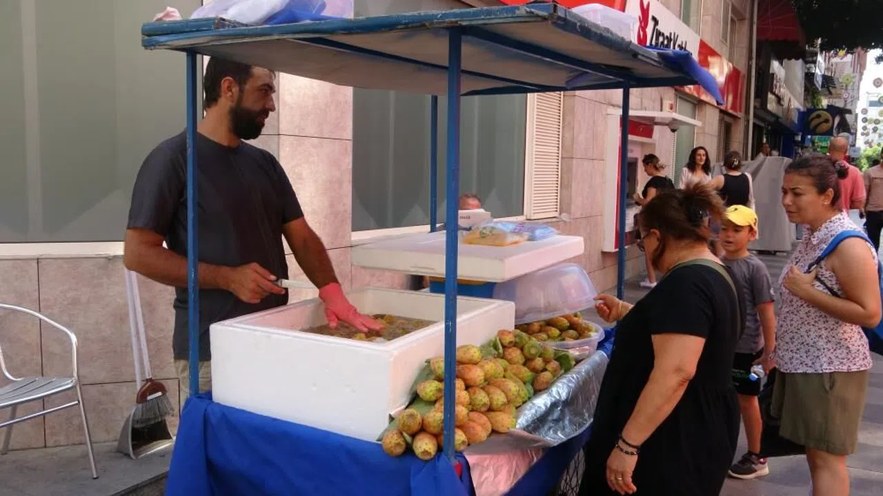 Dikenli incir tezgahlarda yerini aldı