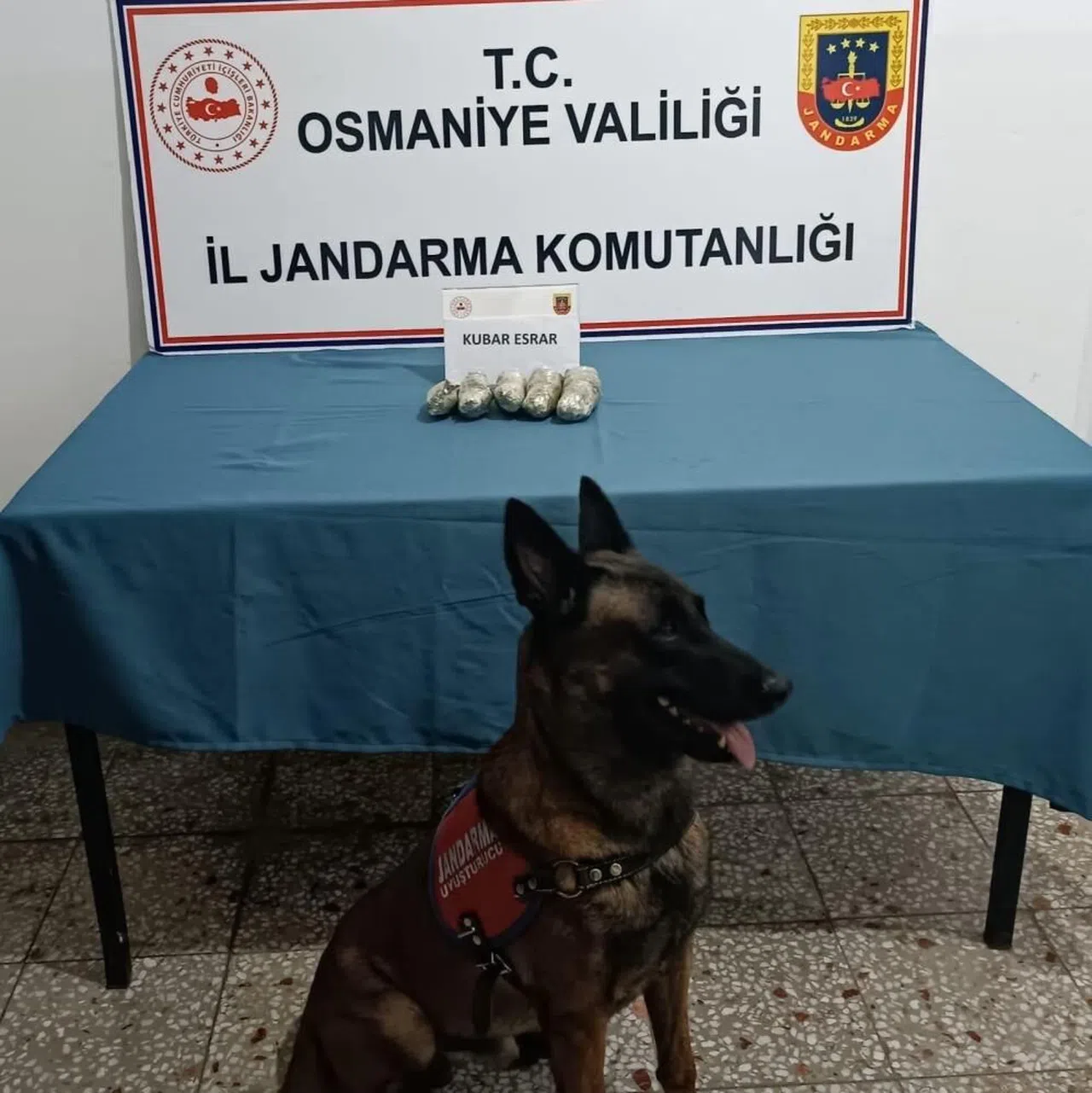 Jandarmadan tarihi eser ve uyuşturucu operasyonu