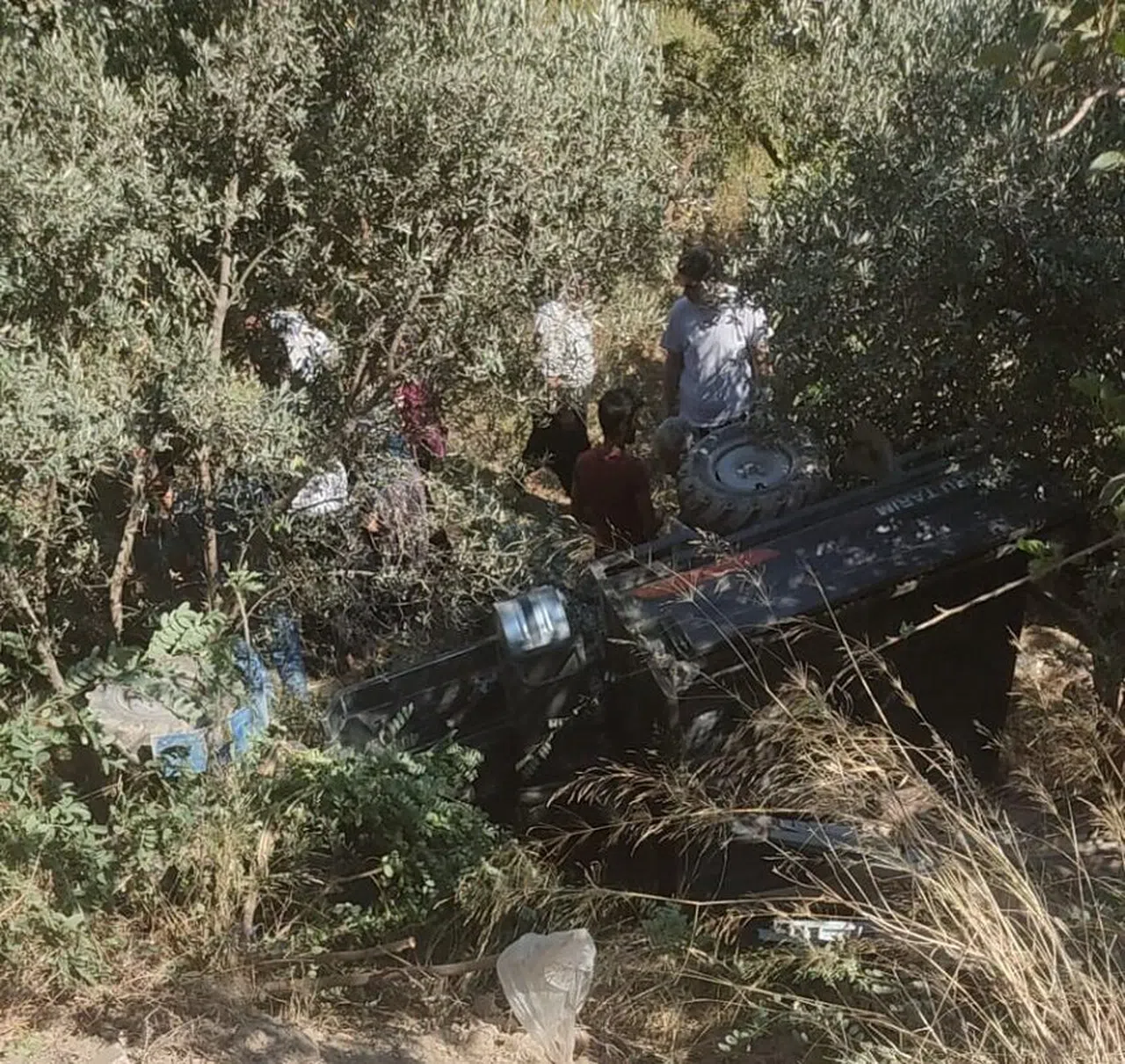 Zeytinliğe uçan patpattaki 2 kişi yaralandı