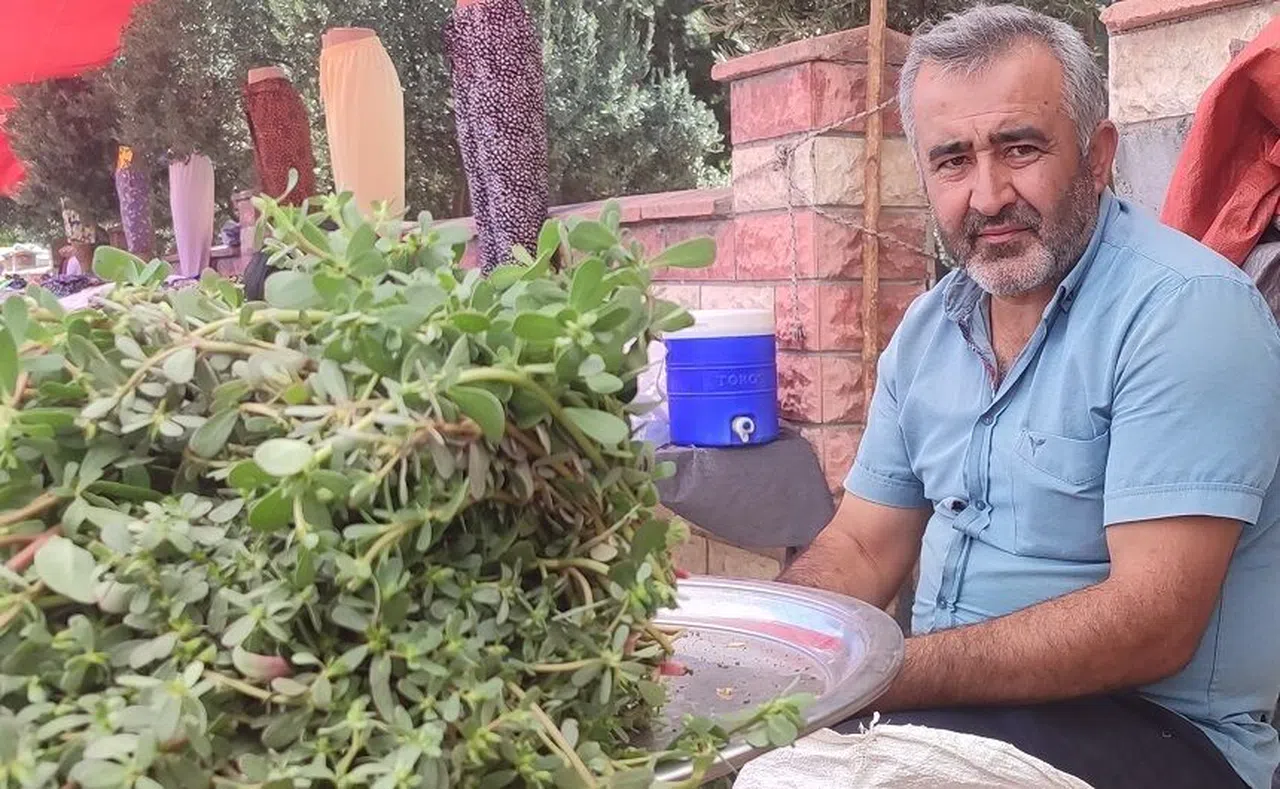 Topladığı semiz otu geçim kaynağı oldu