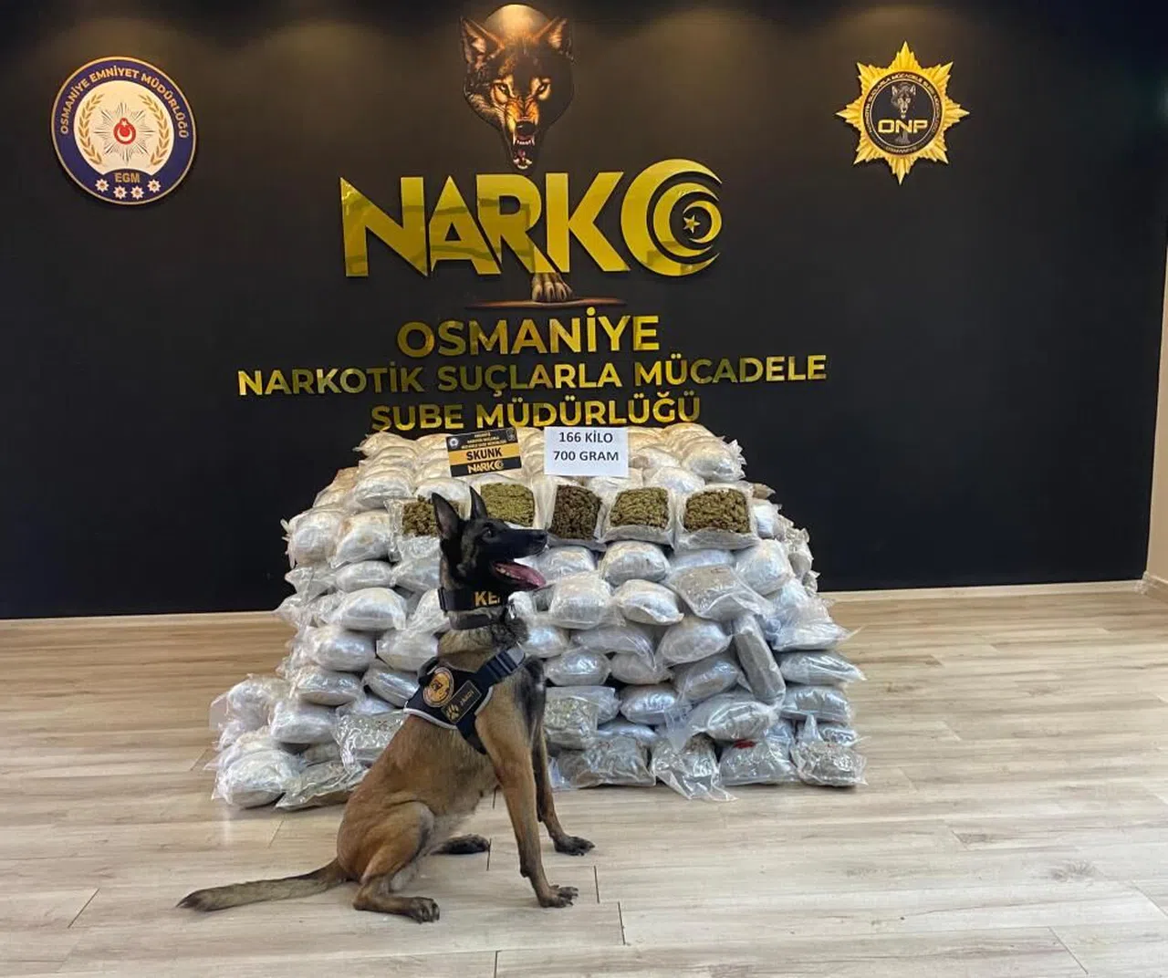 Durdurulan tırda 166 kilo 700 gram skunk ele geçirildi