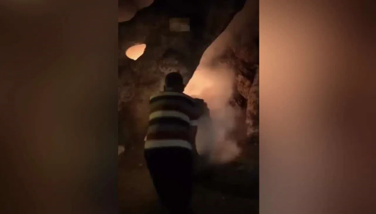 Osmaniye'de tarihi çınar ağacı içten içe yandı