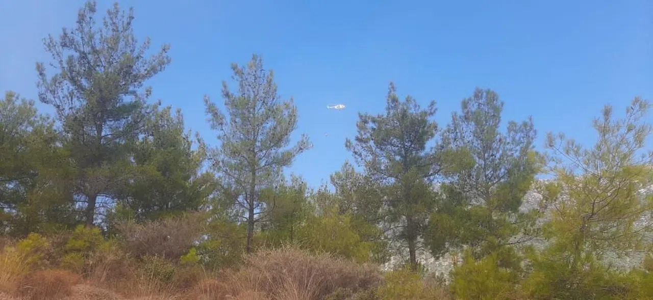 Mersin Bozyazı’da orman yangınına ekipler havadan ve karadan müdahale ediyo