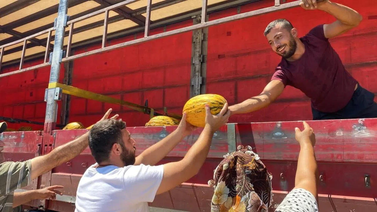 20 ton kavunu vatandaşa ücretsiz dağıttı