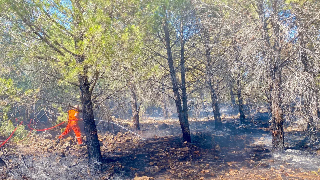 Antalya'da 2 dönüm ormanlık alan yandı