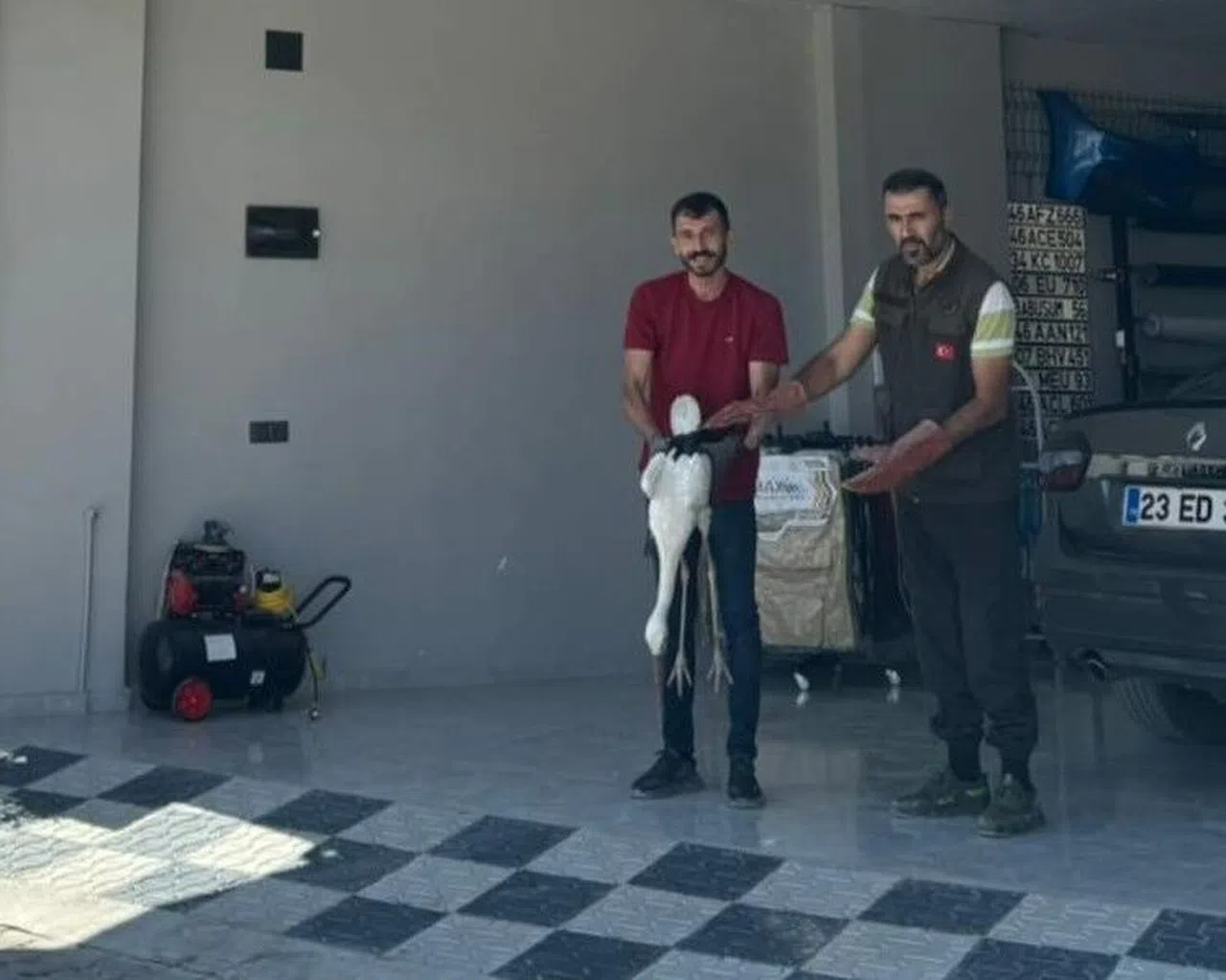 Bitkin halde bulunan leylek korumaya alındı