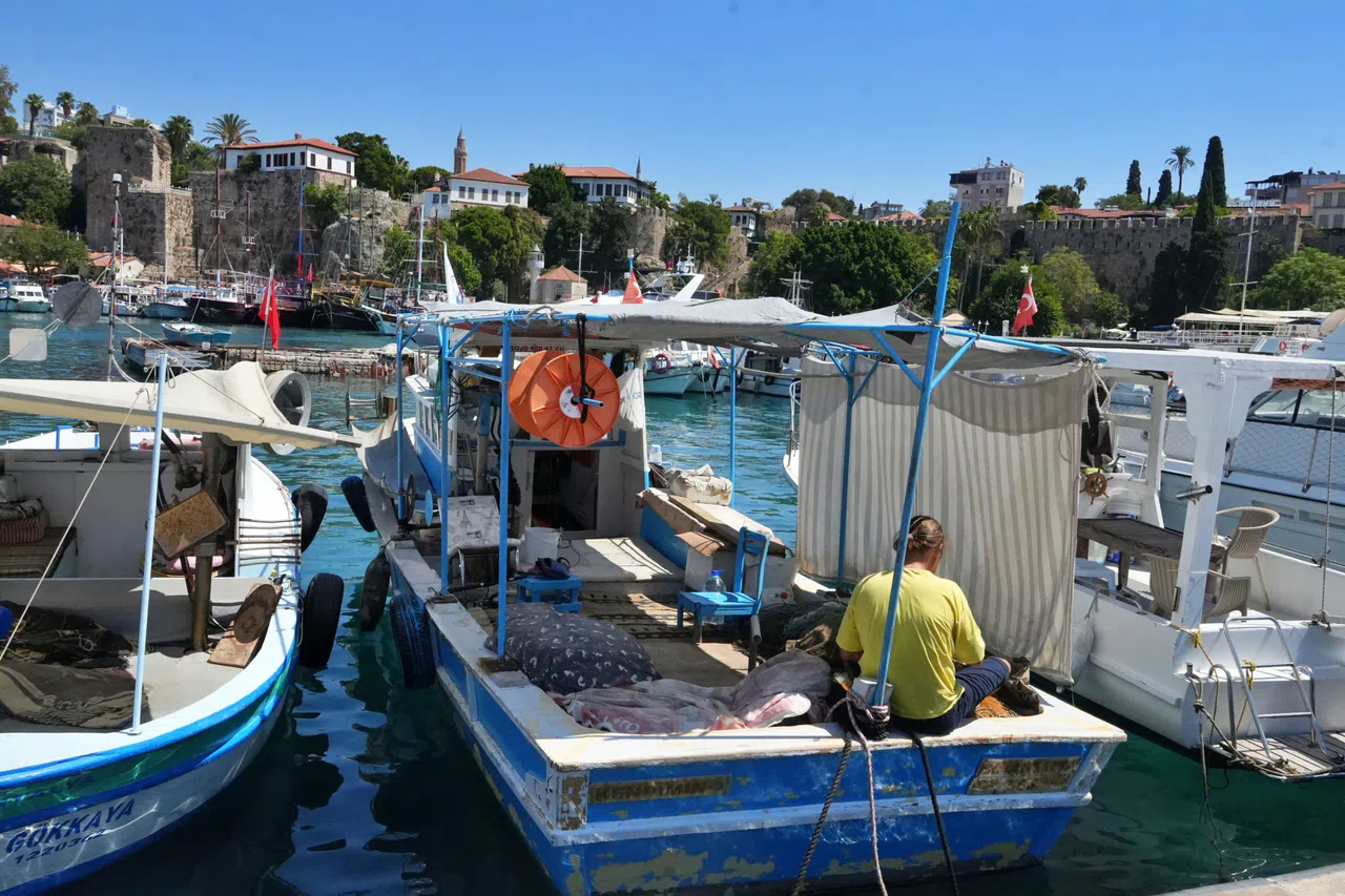 Antalya'da rekor sıcaklık denizdeki balık türlerini ve omurgasız canlıları yok ediyor
