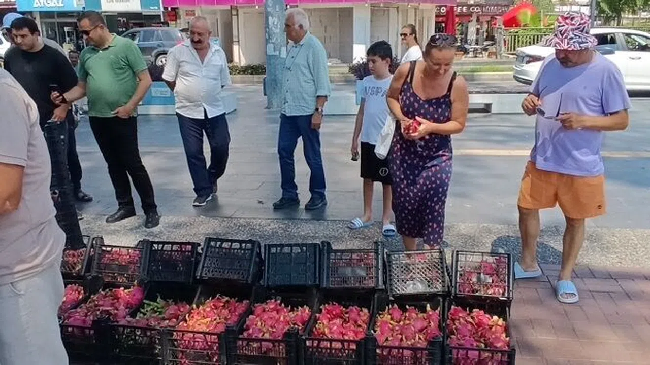 Aracılara kızan üretici 2 bin adet Ejder meyvesini bedava dağıttı