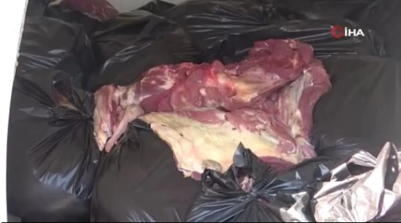 1.5 ton at ve eşek eti yakalatan şahıstan şok savunma: "Akrabalarıma dağıtacaktım"