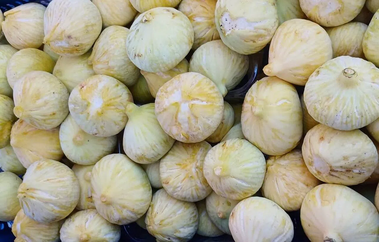Mersin Mut'ta incir hasadı sürüyor: Bahçede 80 TL
