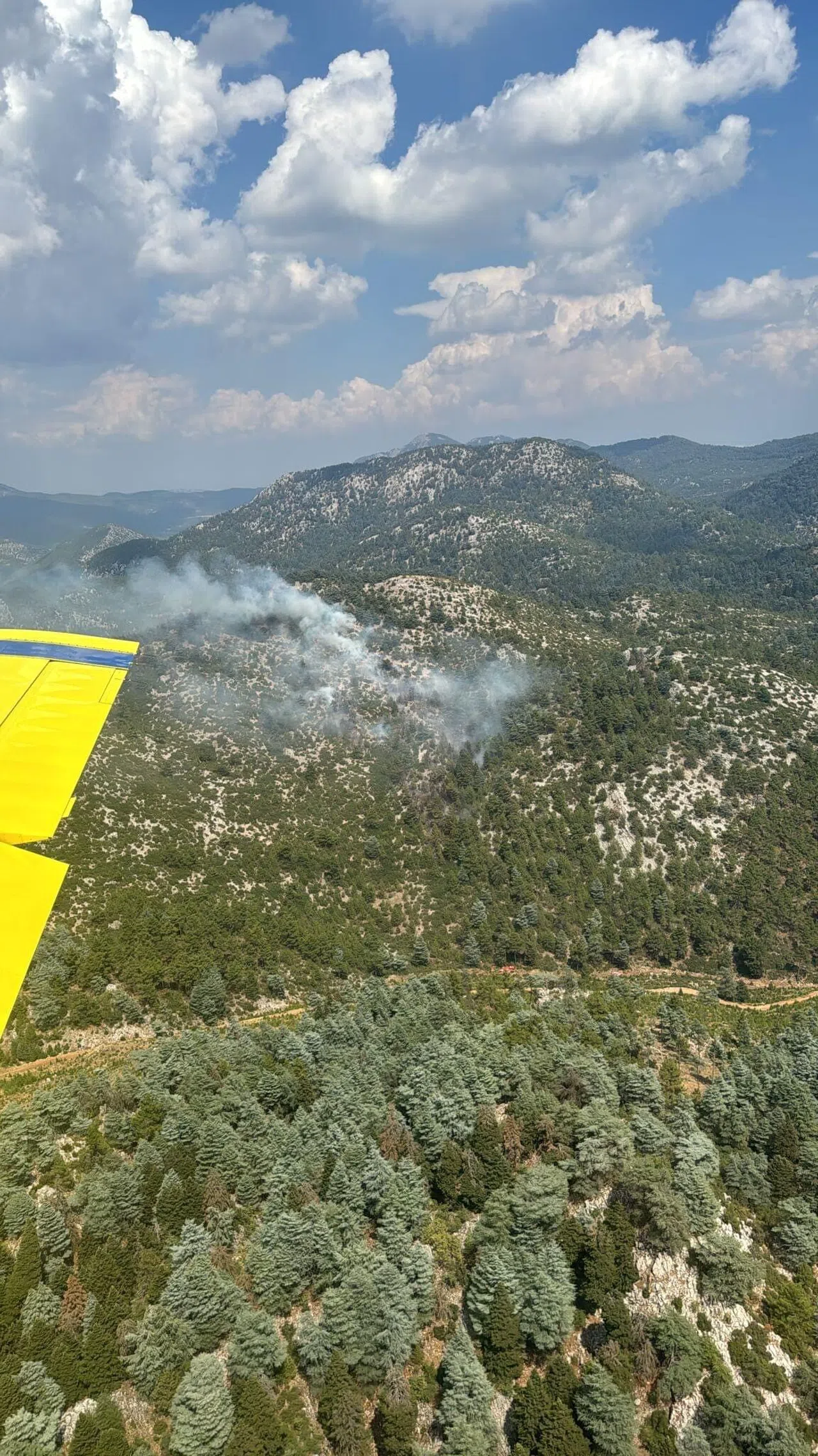 Yıldırım düşmesi sonucu çıkan orman yangını söndürüldü