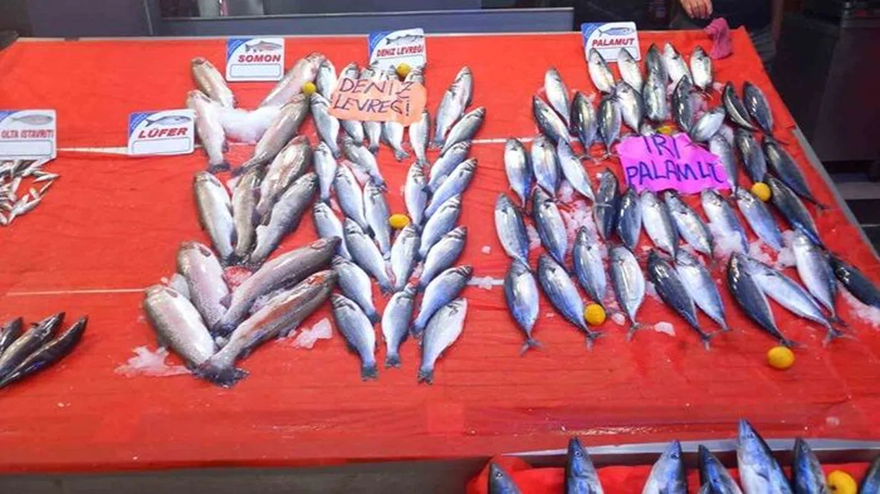 Palamut fiyatları 150 liraya yükseldi