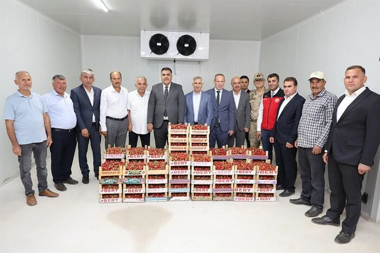 Türkoğlu’nda çilek üreticilerine modern tesis