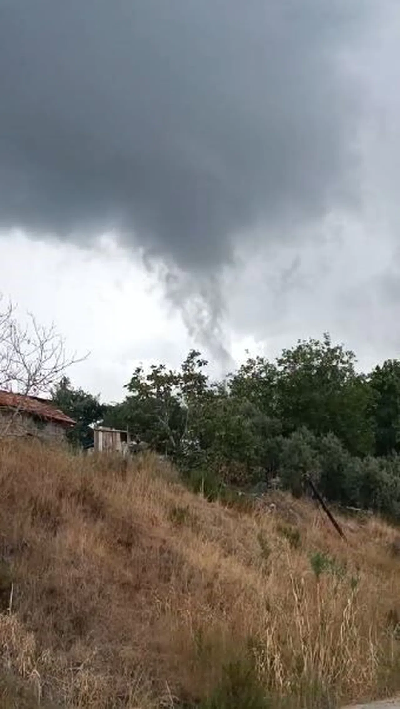 Ormanlık alanda oluşan hortum kısa süreli paniğe yol açtı