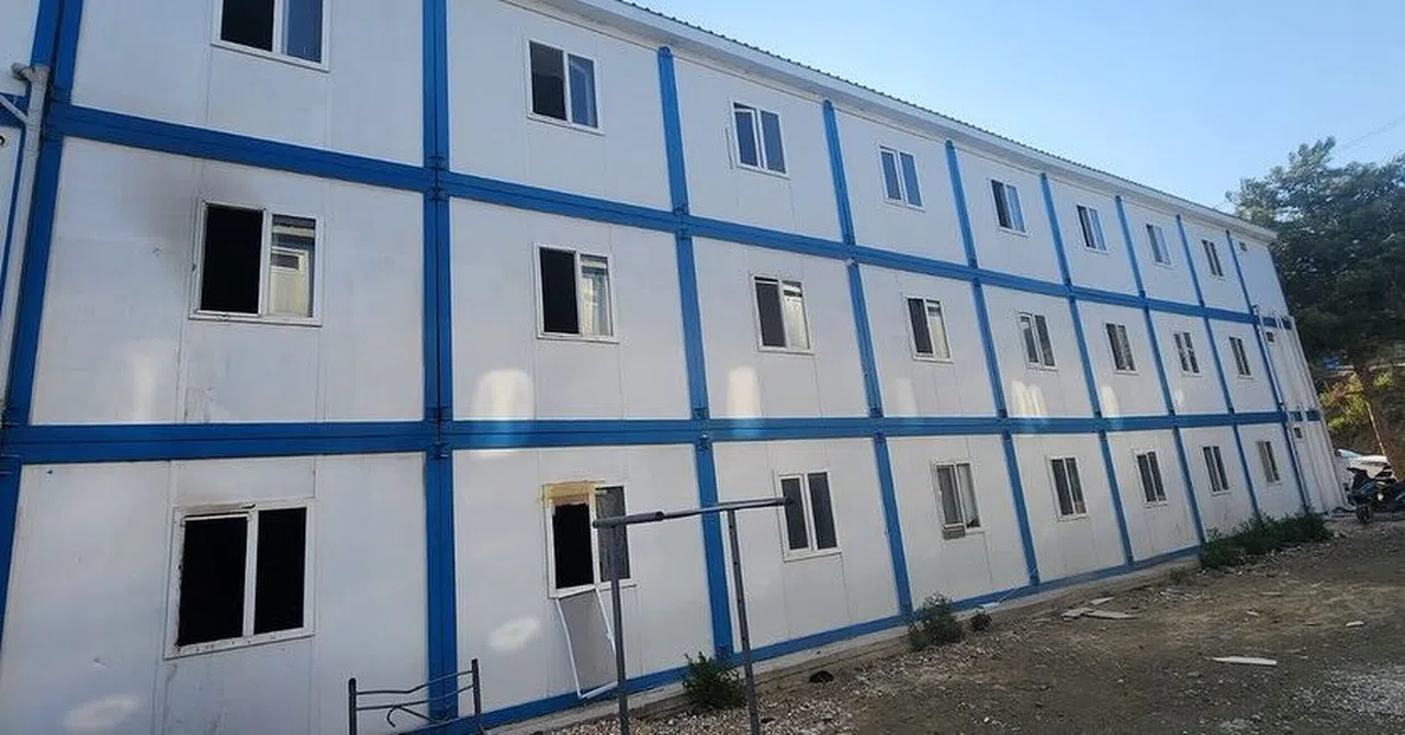 Kök boyalarla boyanıp boncuklarla süslenen koyunlar, çobanların arkasından suya atladı