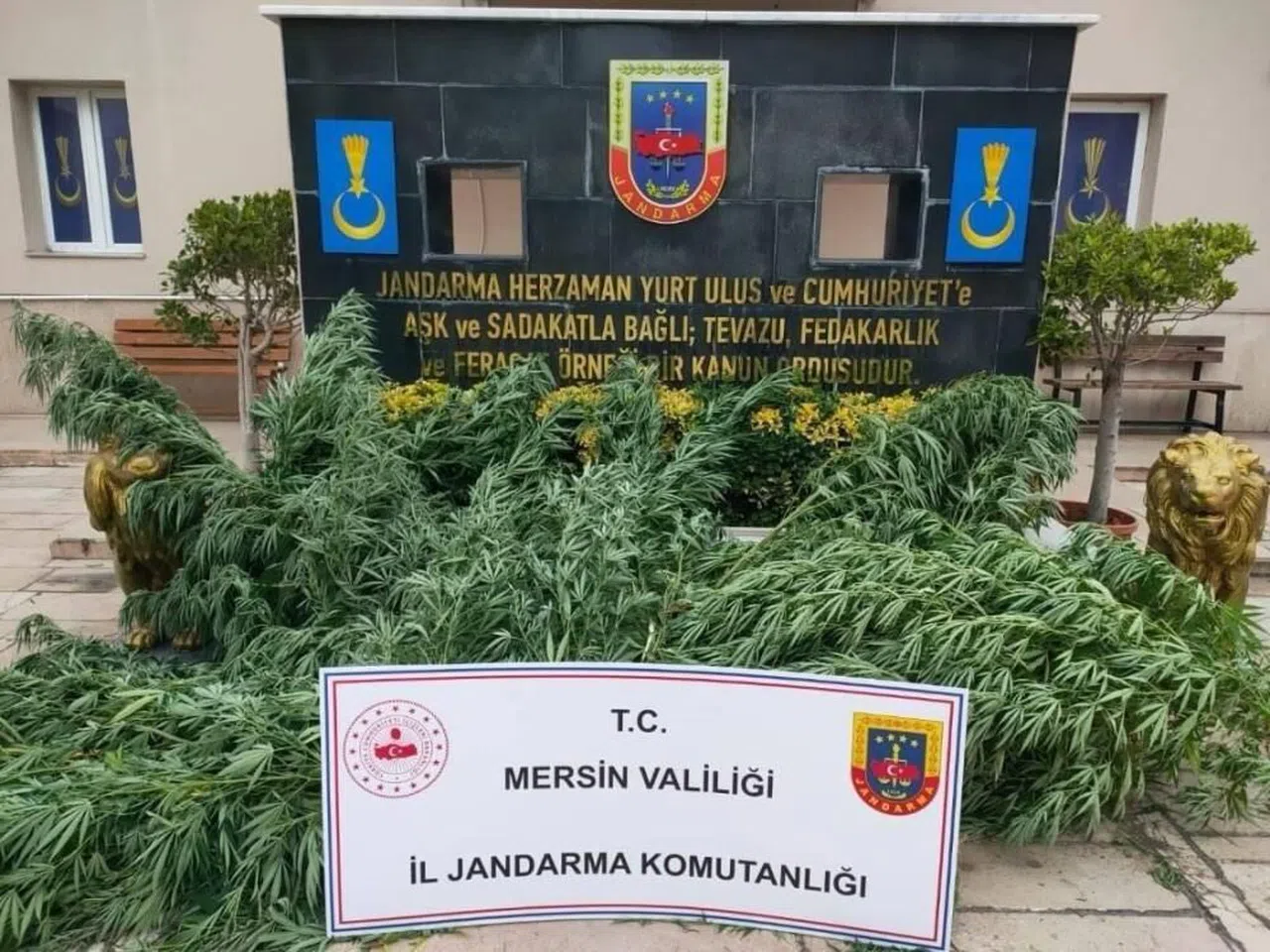 Uyuşturucu madde operasyonu: 3 gözaltı