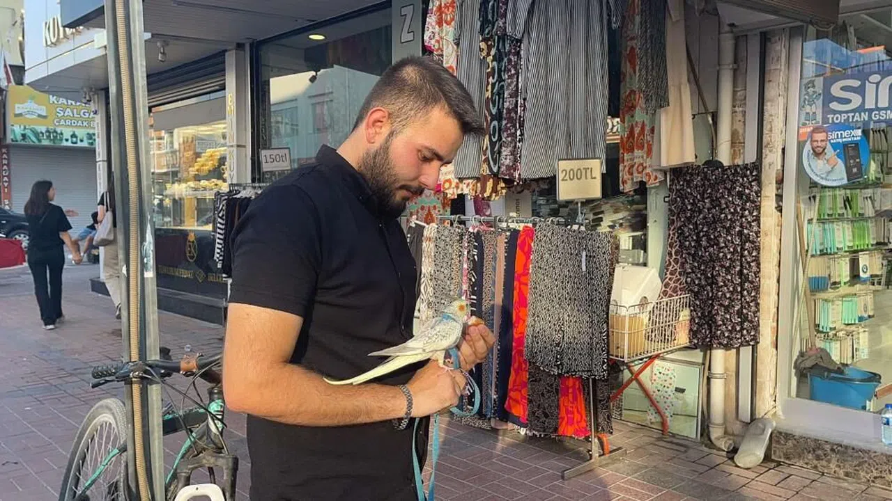 İş yerine götürdüğü papağanı "Messi" esnafın maskotu oldu