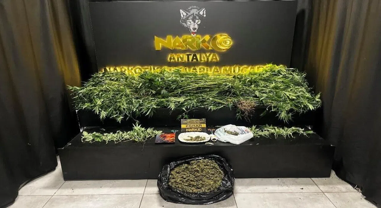 42 adrese eş zamanlı uyuşturucu operasyonu
