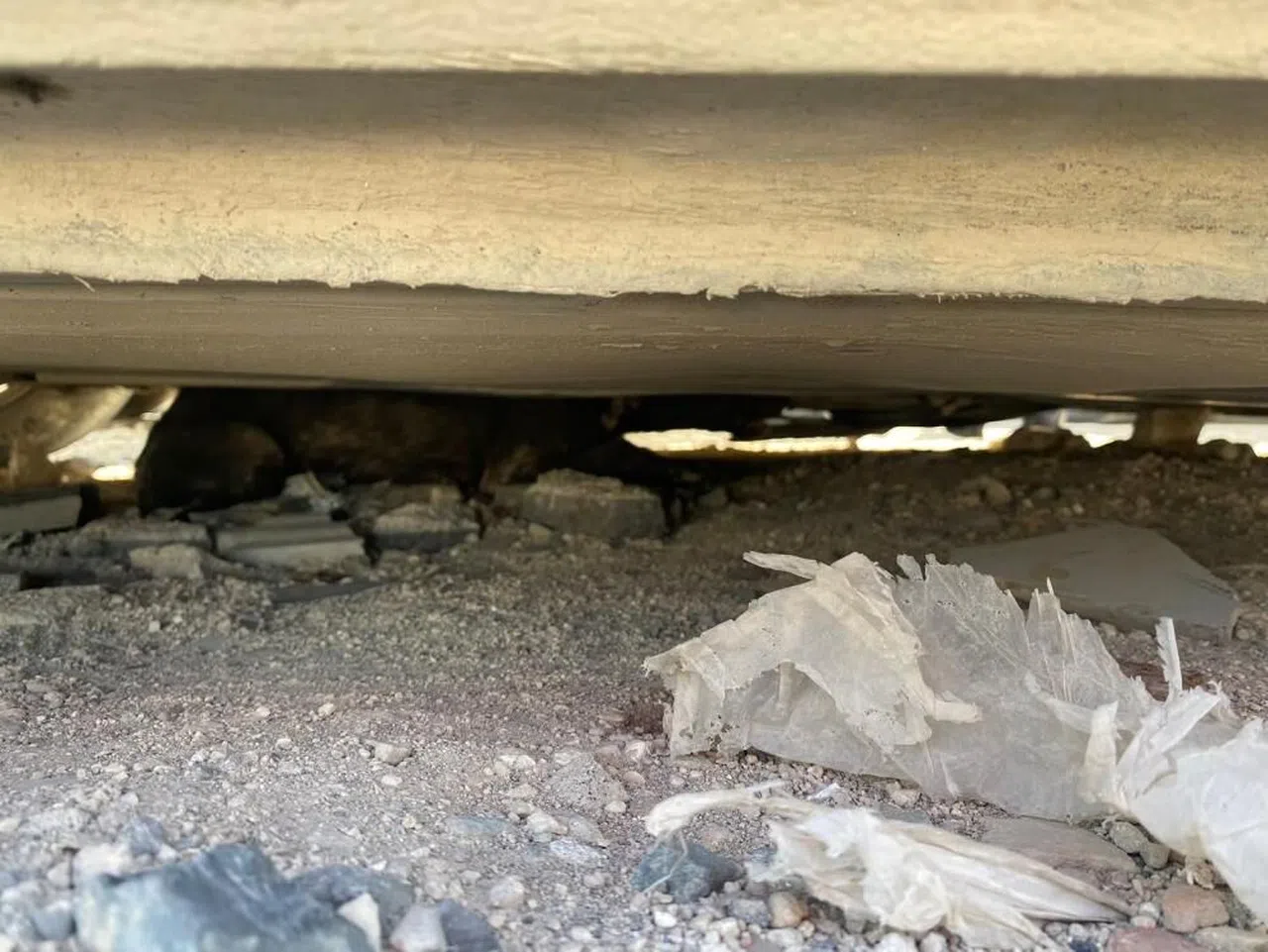 Aracın altına sıkışan köpeği itfaiye kurtardı