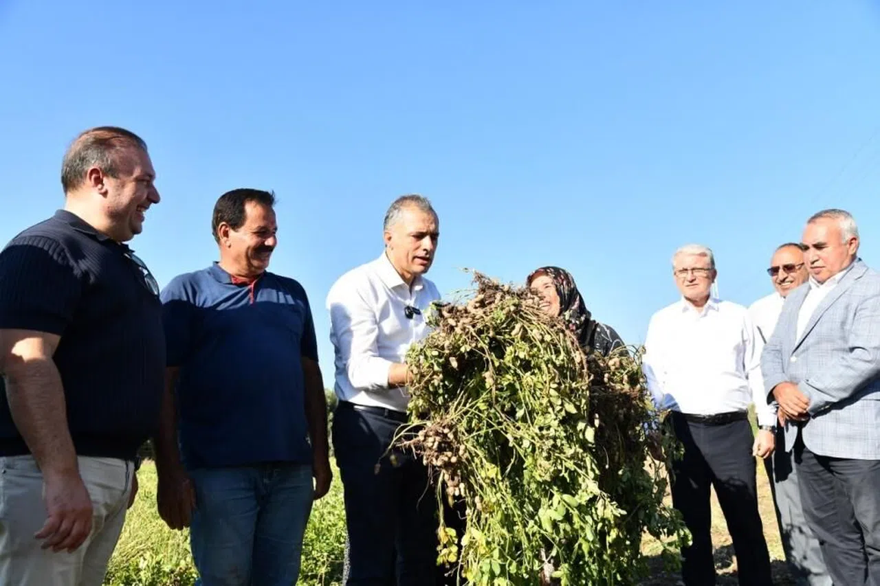 Yer fıstığının başkenti Osmaniye’de festival heyecanı