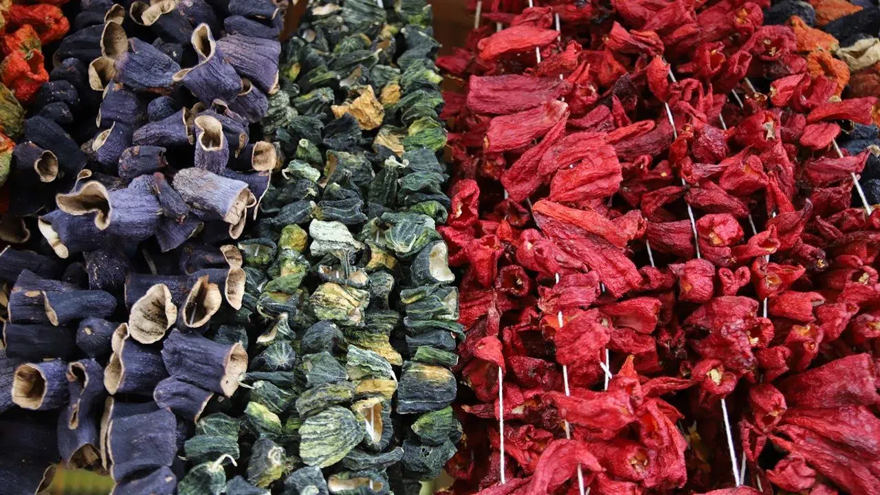 Patlıcan, kabak ve biber kurutmalıkları görsel şölen sunuyor