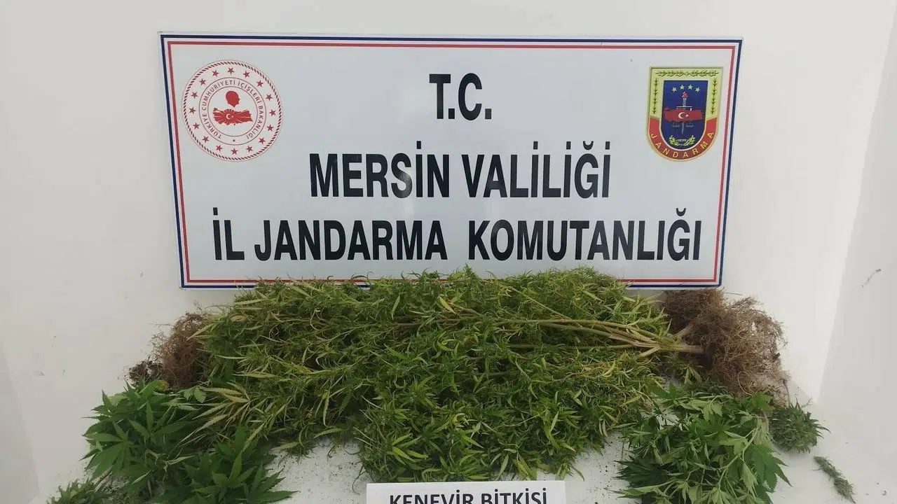 Uyuşturucu tacirlerine operasyon