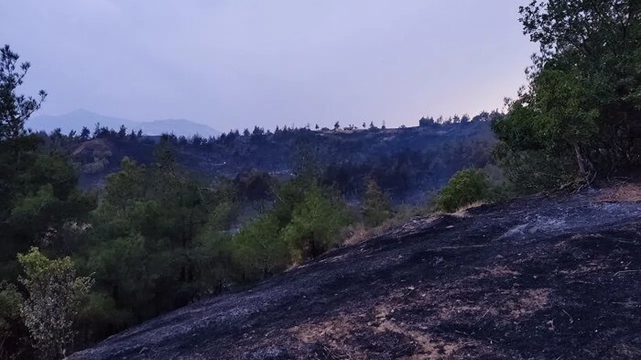 Kürtül’deki yangın 17 saat sonra kontrol altına alındı