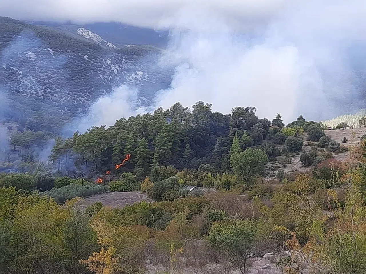Orman yangınında alevlerin sıçradığı ev kullanılamaz hale geldi