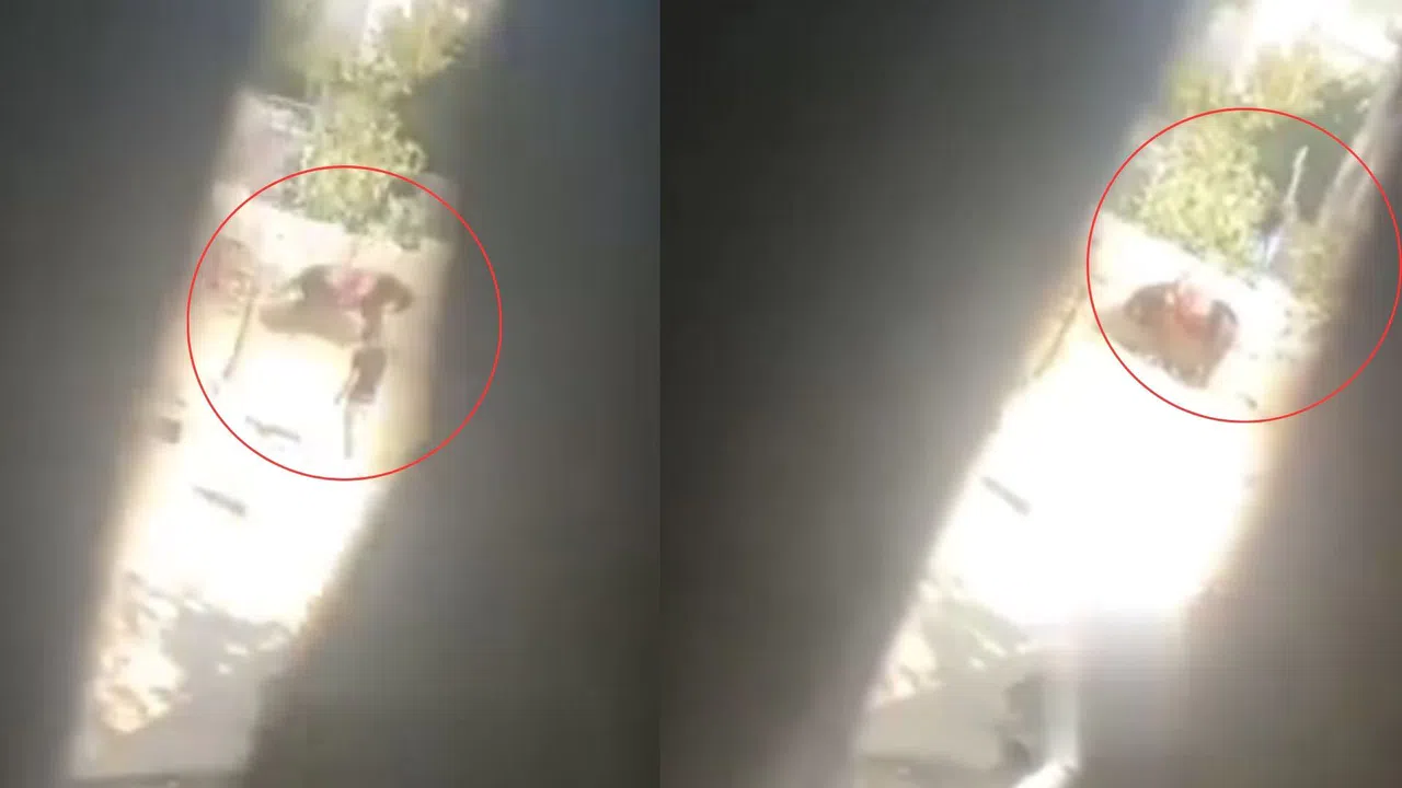 Kahramanmaraş’ta Ata İşkence Uygulayan Şahıs Tutuklandı