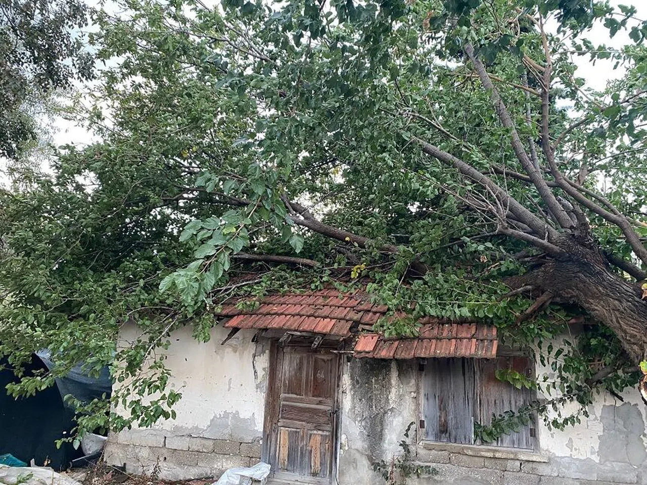 Çıkan hortum ev ve seralara zarar verdi