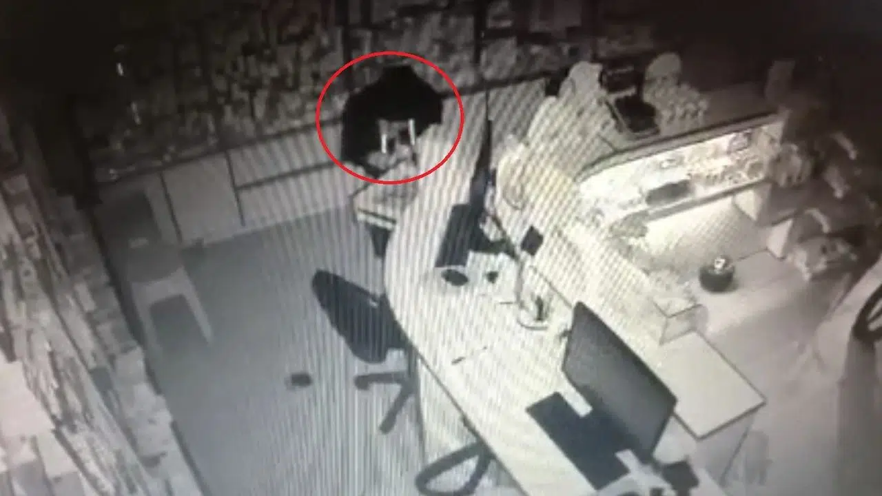 Eczaneye girip para ve kontrole tabi ilaçlar çalan hırsız kamerada