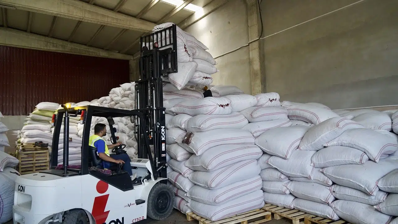 Büyükşehir'den biber üreticisine destek