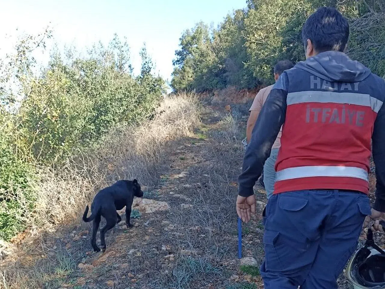 Kuyuya düşen köpeği itfaiye kurtardı