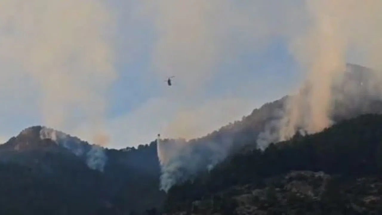 Kahramanmaraş’ta 4 Gündür Süren Orman Yangını Kontrol Altında