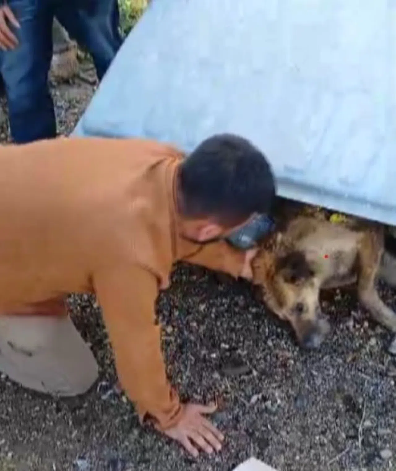 Çöp Konteynerinde Bitkin Halde Bulunan Köpeğe Şefkat Eli