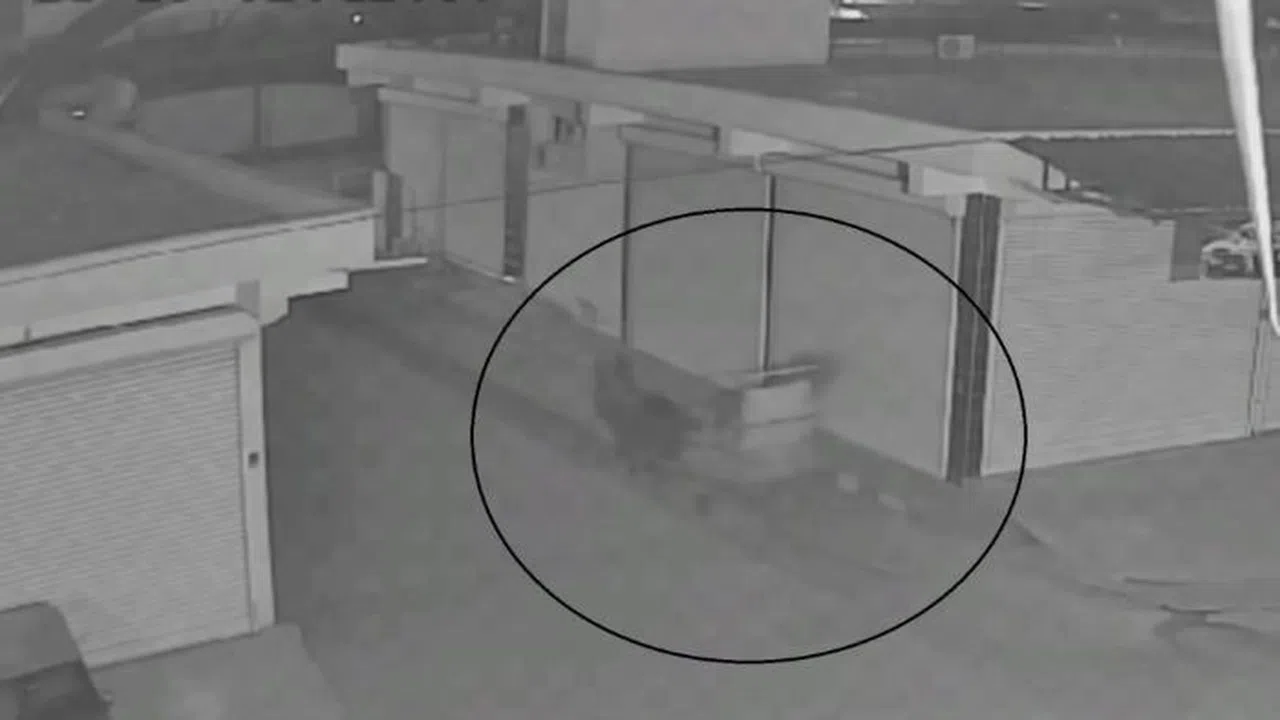 Akıl Almaz Olay; At Arabasıyla Gelip, Sitenin Demir Kapısını Çaldılar