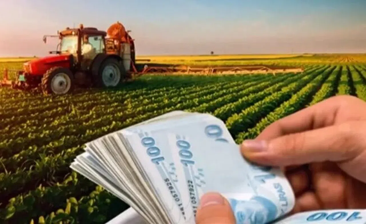 2025 bütçesinde tarıma 706 milyar TL ayrıldı