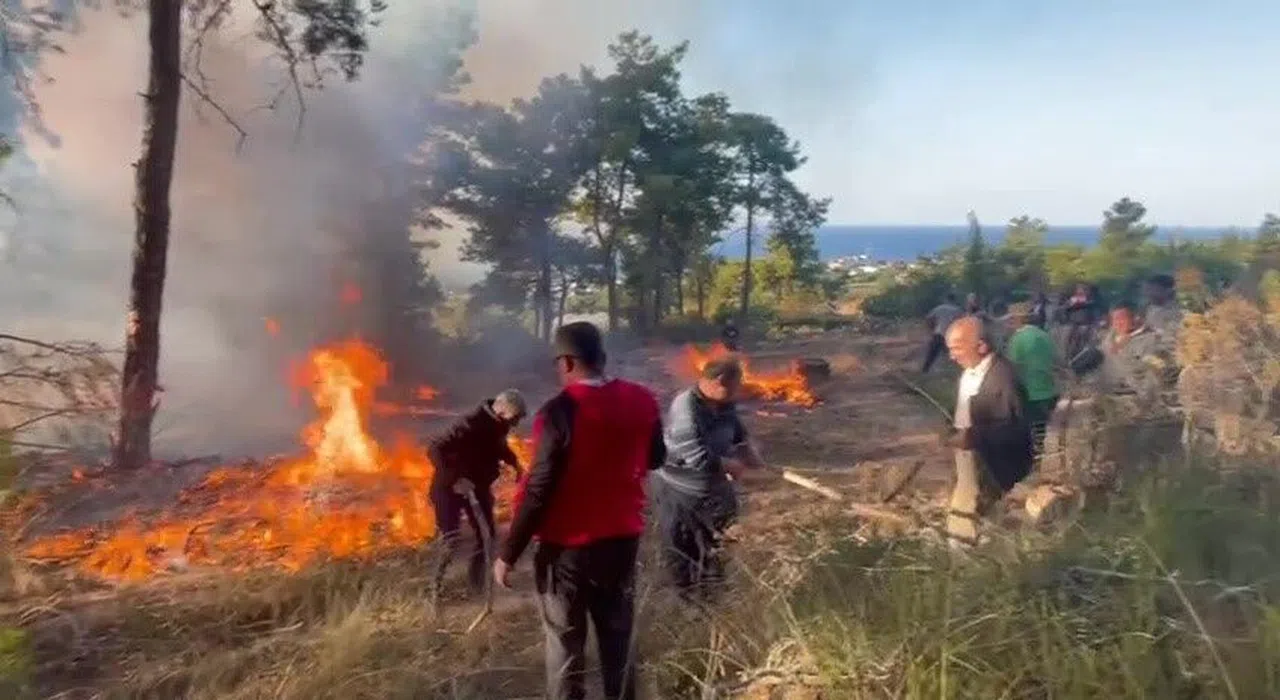 Hava aracı ormanlık alana düşüp infilak etti