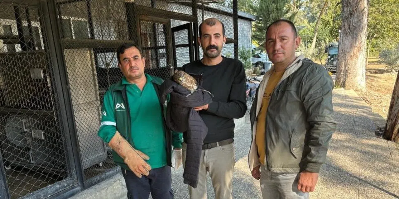 Yaralı buldukları doğanı Doğa Parkı'na teslim etti