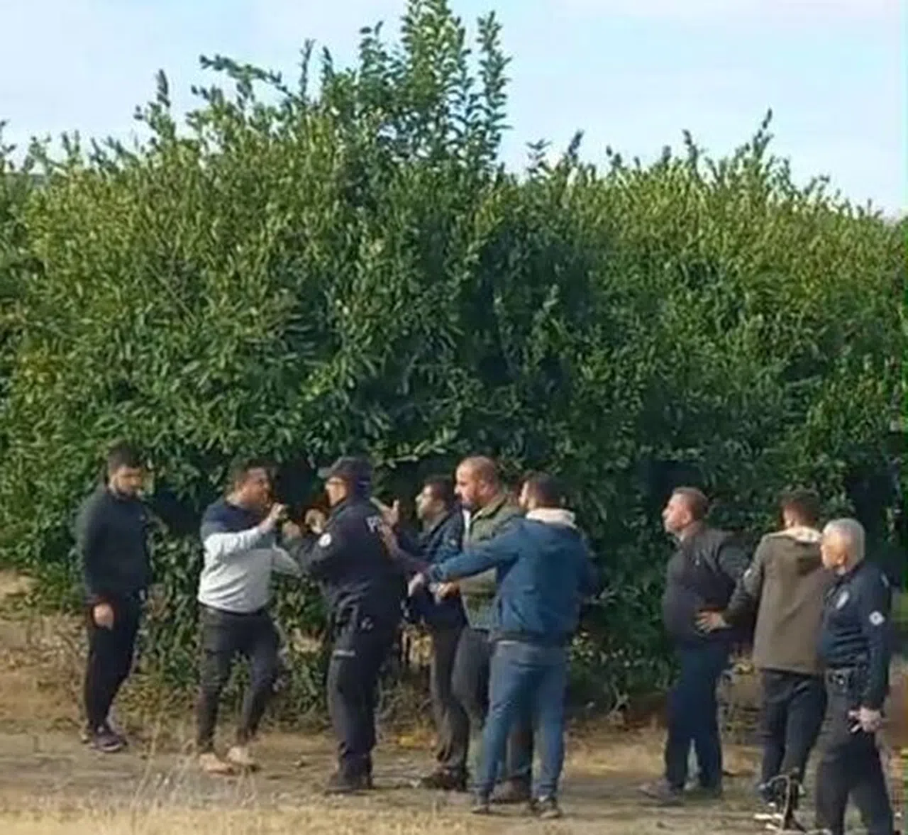 Üretici, Narenciyeyi 2 Tüccara Birden Satınca Ortalık Karıştı