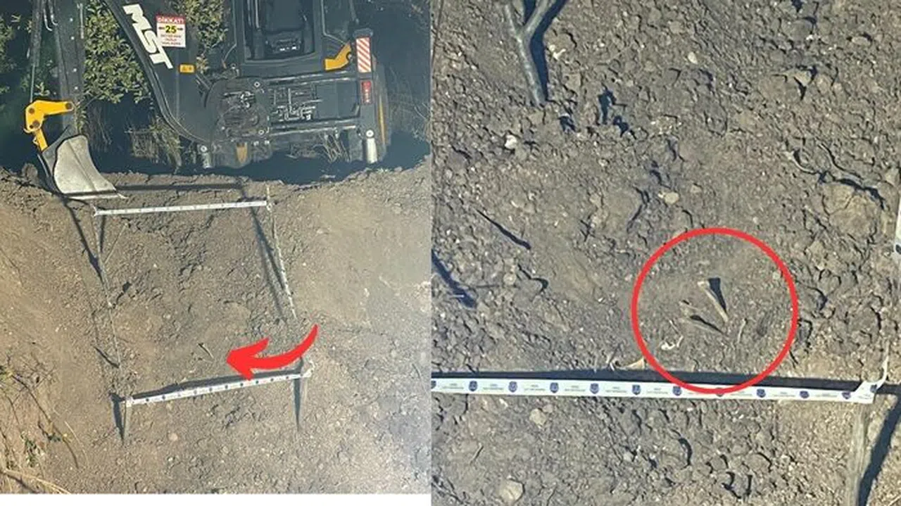 Kahramanmaraş’ta 20 Yıllık Cinayet Olayı Aydınlatıldı