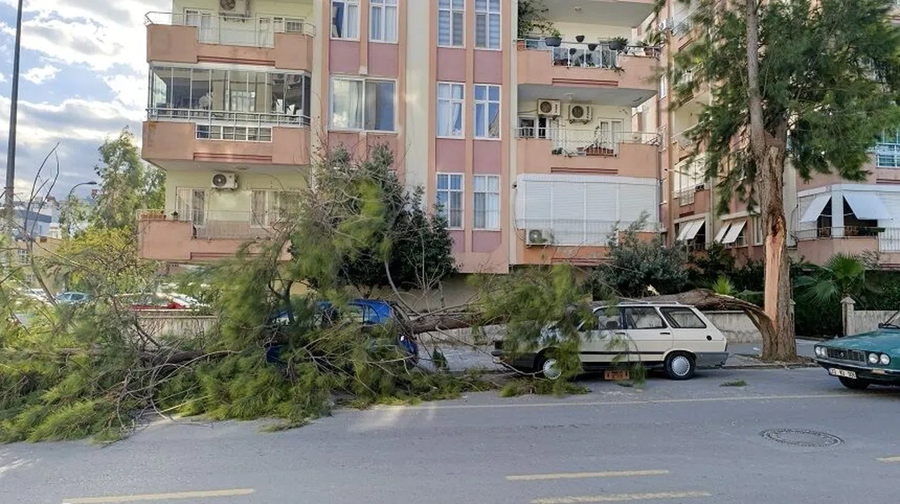 Fırtına ağaçlar devrildi, araçlar zarar gördü camlar kırıldı