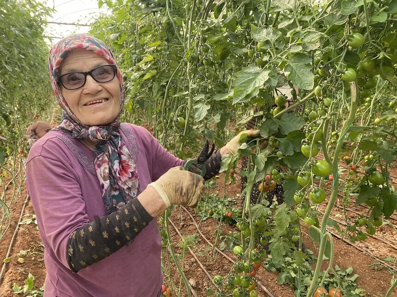 Azmiyle hayran bırakan yaşlı kadının ayakta durma mücadelesi