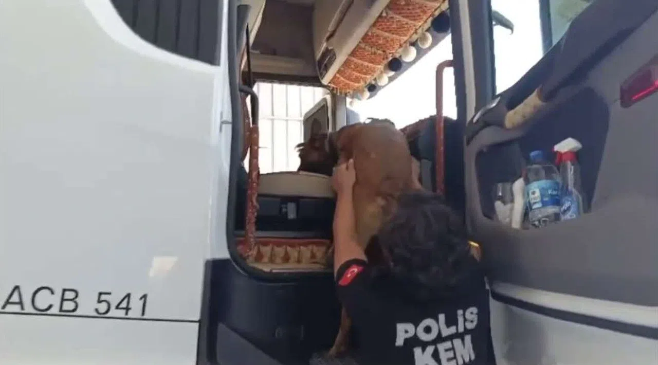 Uyuşturucu operasyonu: 32 tutuklama