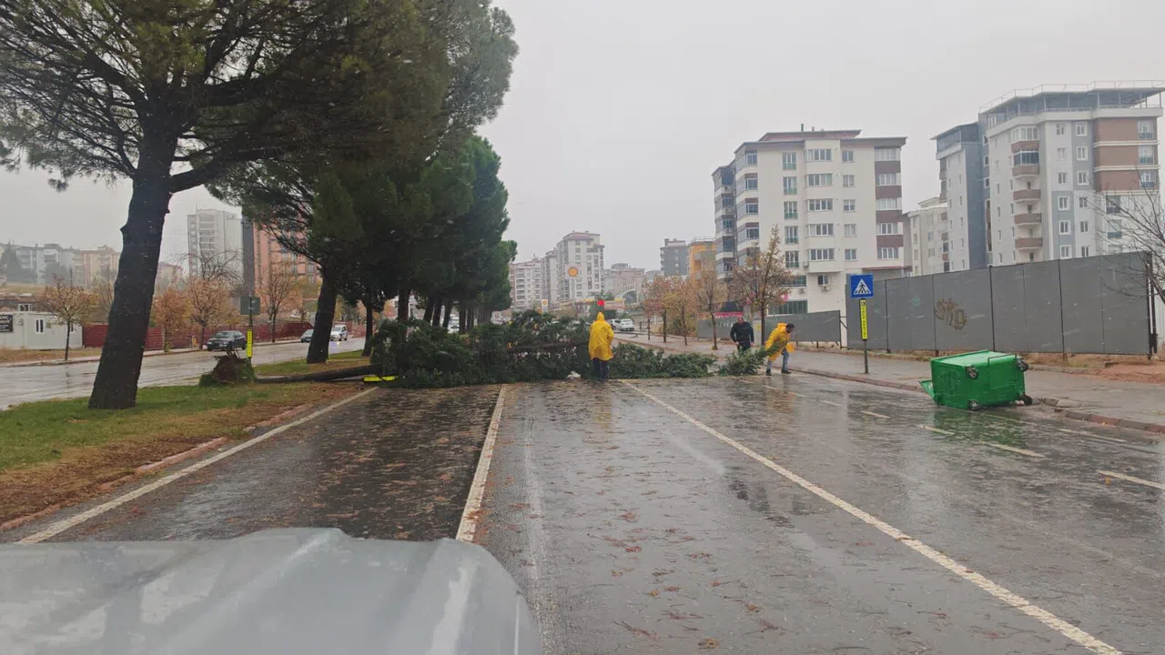 Kahramanmaraş'ta Şiddetli Yağış ve Fırtına Ağaçları Yerinden Söktü