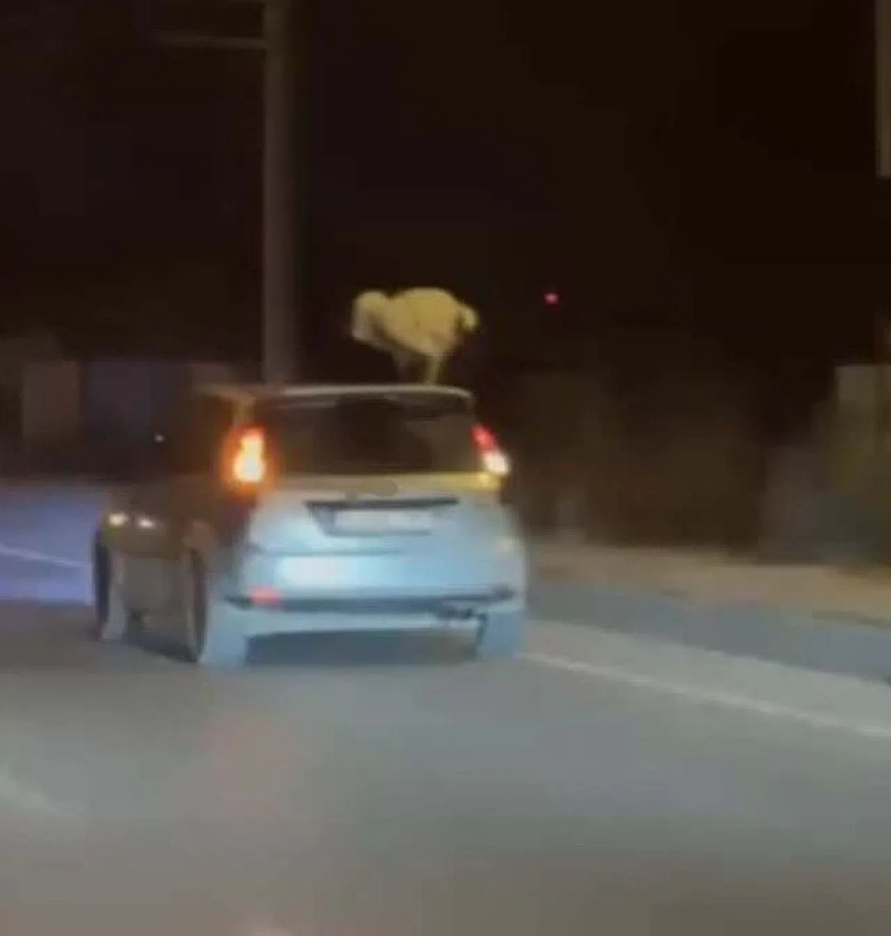 Akan Trafikte Camdan Aracın Üzerine Çıkıp Dans Etti