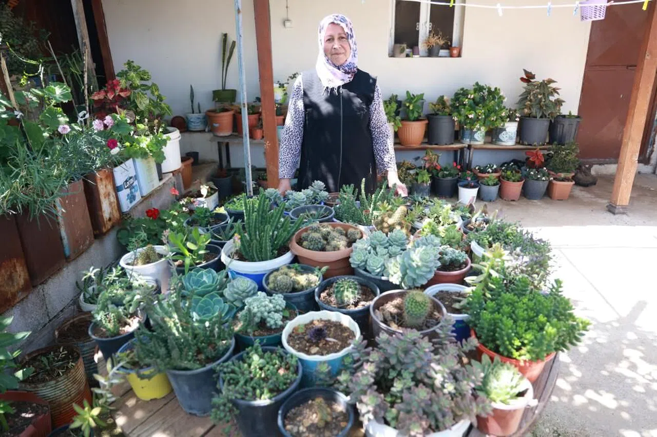 Evinin Her Tarafında Çiçek Eken Kadın, 500'ten Fazla Farklı Çiçek Yetiştirmeyi Başardı